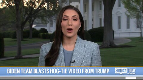 Bide team blasts Hog-TIE video from trump