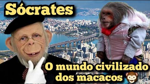 Escolinha do Professor Raimundo; Sócrates, o mundo organizado e ecológico dos macacos 🙊🙈🙉