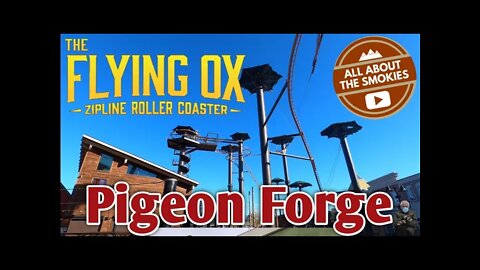 The Flying Ox at Lumberjack Square - Pigeon Forge TN
