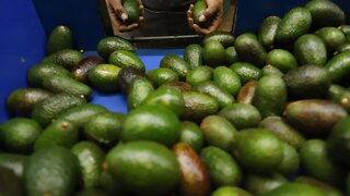 This Is Why Guacamole Costs Extra