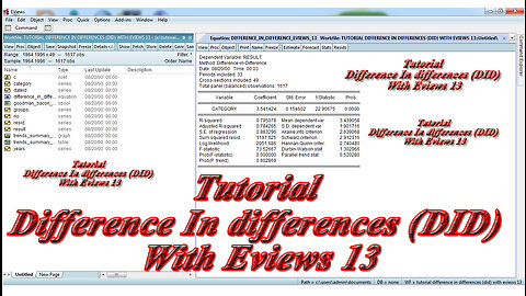 Tutorial Difference In difference (DID (Diff-in-Diff) With Eviews 13