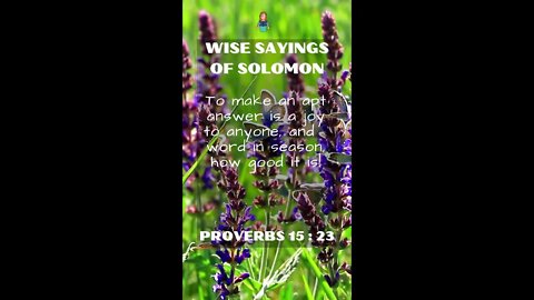 Proverbs 15:23 | NRSV Bible | Wise Sayings of Solomon