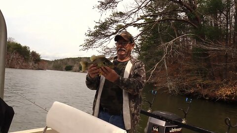 Giant Lake Hickory ShellCrakers