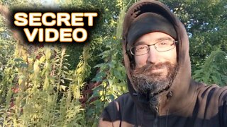 Secret Video