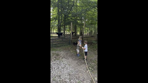 Trying To Fill Up The Water Trough 🐂 CHAMBERLIN Family Farms #chores #kids #summerfun #farmlife