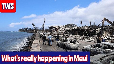 What Is Really Happening In Maui