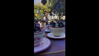 Disney California Tea Cups