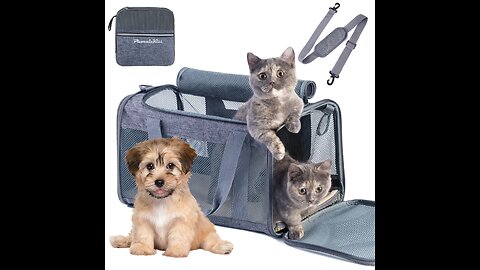 BurgeonNest Cat Carrier for Large Cats 20 lbs,Medium Cats Under 25 lbs,2 Cats and Small Dogs wi...