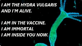 THERE IS A LIVING CREATURE INSIDE THE VACCINE IT'S IMMORTAL !!