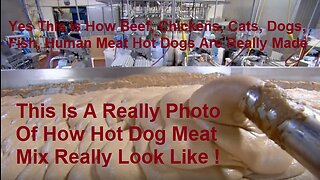 This Is How Beef, Chickens, Cats, Dogs, Fish, Human Meat Hot Dogs Are Really Made