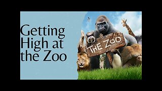 Getting High at the Zoo with my GF