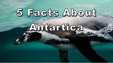 5 Facts About Antartica