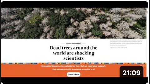 Why We are Losing Hundreds of Millions(Billions?) of Trees across the Planet!
