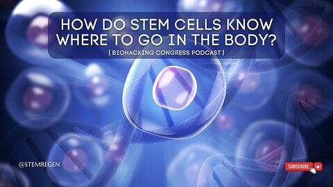 How do Your Stem Cells Know Where to Go in the Body? [Biohacking Congress Podcast]