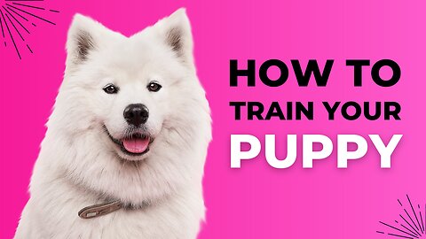 "Master the Art of Puppy Training with These Jaw-Dropping Tips! 🐾🌟 Your Fluffy Genius Awaits!"