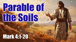 Parable of the Four Soils