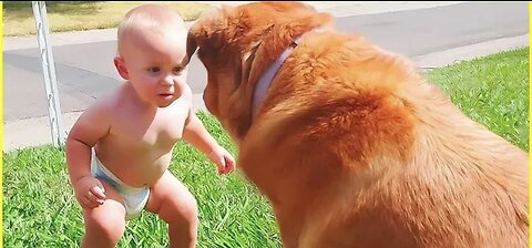 Funny dog plying a cute baby Plzz guys follow me for more videos