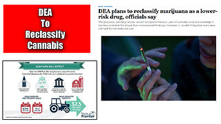 Top Stories The DEA Plans To Reclassify Cannabis As A Lower-Risk Drug