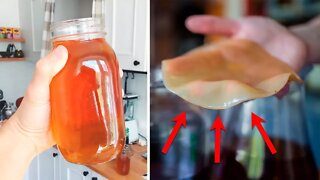 Kombucha Tea: Is It Really The Elixir of Life?