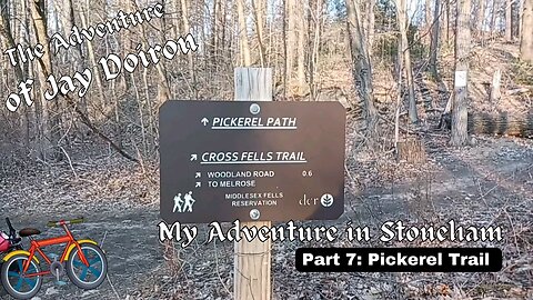 My Adventure in Stoneham (part 7): Pickerel Trail