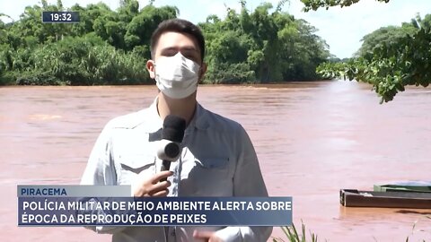 Piracema: Polícia militar de meio ambiente alerta sobre época da reprodução de peixes