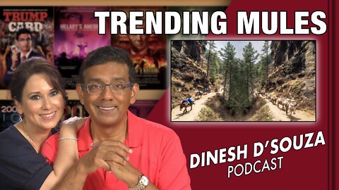TRENDING MULES Dinesh D’Souza Podcast Ep326