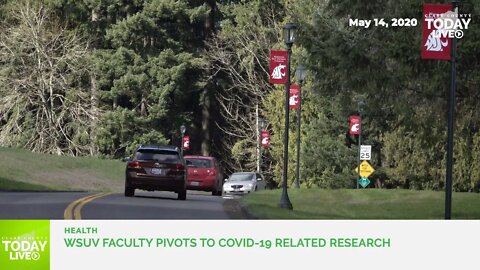 WSUV faculty pivots to COVID-19 related research