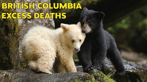 British Columbia Excess Deaths