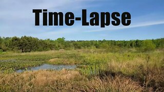 Okeeheepkee Prairie Preserve facing West Time-Lapse