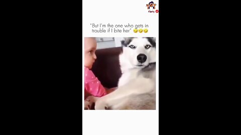 Funny Hilarious video That makes you Laugh😂😂 part-4