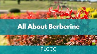 All About Berberine