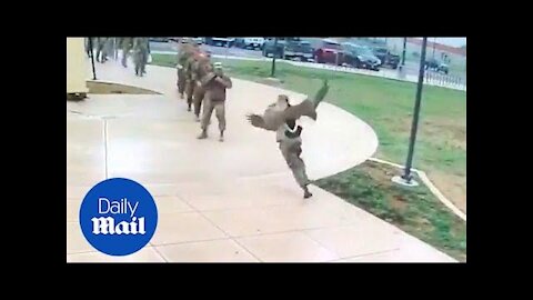 Goose attacks US soldiers in hilarious video