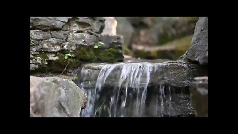 🌴 Som da água barulho de água cachoeiras relaxar e meditar água corrente Canto dos Pássaros