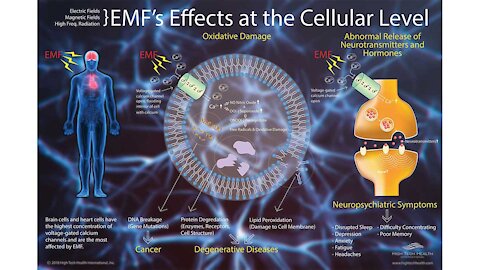 Protect Yourself from EMF Radiation