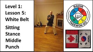 Baehr Taekwondo: 01-05: White Belt: Sitting Stance - Middle Punch