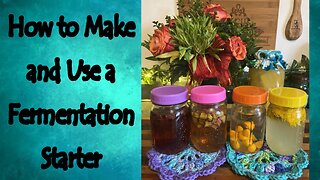 How to Make and Use a Fermentation Starter