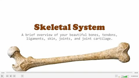 Billy Meier: The Skeletal System