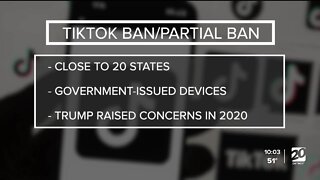 MI Republicans propose TikTok ban on state gov. devices amid security concerns