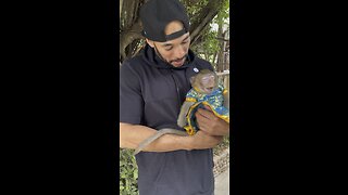 Holding a monkey 🐵