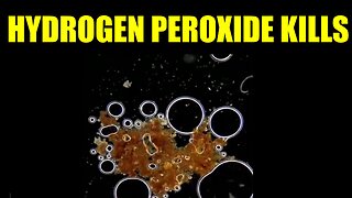 Hydrogen Peroxide Kills