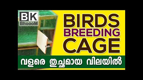 Birds Breeding Cage | വളരെ തുച്ഛമായ ചിലവിൽ വീട്ടിൽ നിർമിക്കാം | Love Birds, Finches, Java etc