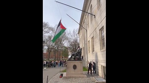 Pro Hamas Harvard Students Replace The American Flag With Palestinian Flag