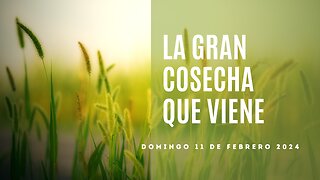 La gran cosecha que viene - Lección 01 - Domingo 11 de Febrero 2024