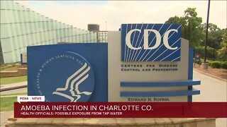 Potentially deadly amoeba infected a person in Charlotte County through tap water