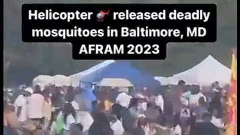 The AFRAM 2023 festival in Maryland plagued with mosquitos released from helicopter - HaloNews