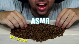 ASMR VERY CRUNCHY CAT FOOD | EATING SOUND (NO TALKING) 🎧 BEST SOUND