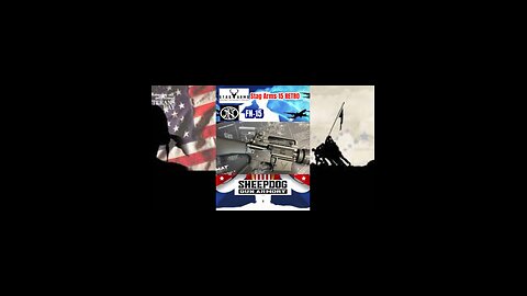 Memorial Day… Stag-15 Retro” & FN-15 AR 15 Rifles