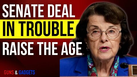 BREAKING: Dianne Feinstein Amendment Threatens Senate Bill (Raise The Age)