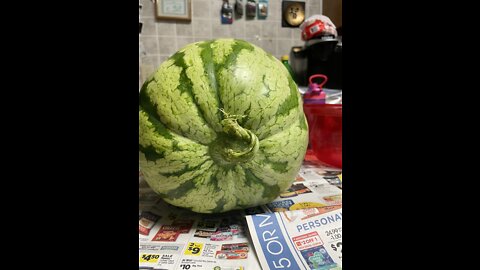 Accidently Creating a Pumpkinmelon