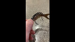 Fishing Lure!